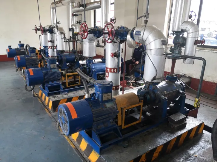 EHIK feedstock oil and fuel oil pumps at Shandong Naisite